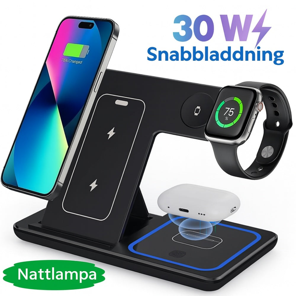 AURIX Laddningsstation 3 i 1